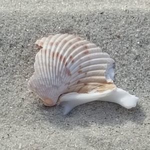 Meet your Posher, Arleen